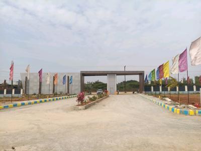 Century Nature City Internal Roads 2