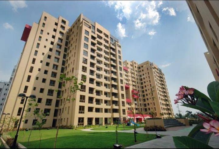 Ambuja Ujjwala Main Image 1