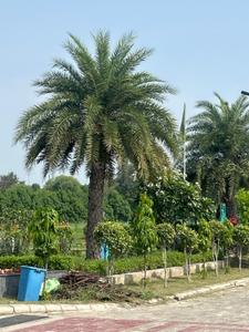 Image of 1242 Sq.ft Residential Plot / Land for sale in Gnex Realtech Asha Bahadurgarh Phase 2 Extension, sector 37, Bahadurgarh for Rs. 9660000
