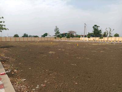 Kandi Plot View 1