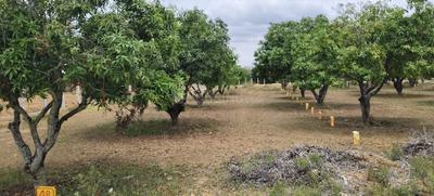 Image of 10890 Sq.ft Residential Plot / Land for sale in Narsapura, Kolar for Rs. 6534000