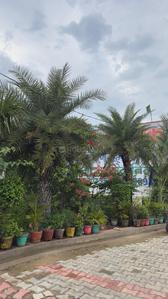 Image of 1116 Sq.ft Residential Plot / Land for sale in Govardhan, Mathura for Rs. 4340000