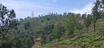 Image of 9000 Sq.ft Residential Plot / Land for sale in Kotagiri, Ooty for Rs. 6195000