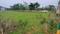 LOHITHA Plot View 2