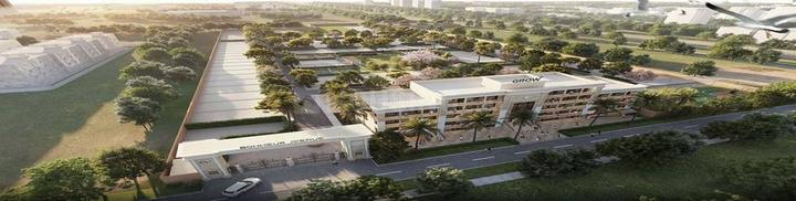 Lion Green Valley 2 Main Image 1