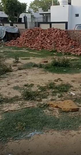 Milak Lachchhi Main Image 1
