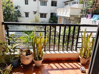 Balcony Image of 1880 Sq.ft 3 BHK Apartment / Flat for rent in Alembic Urban Forest, Kadugodi Bengaluru for Rs. 78000
