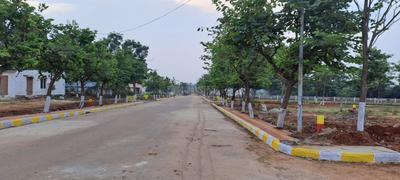 Summi Plot View 3