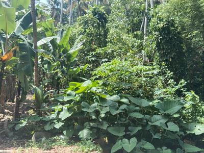 Image of 5227 Sq.ft Residential Plot / Land for sale in Vizhinjam, Thiruvananthapuram for Rs. 28800000
