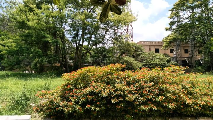 Azven Back to Life Main Image 1