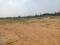 Golden Park Main Image 1