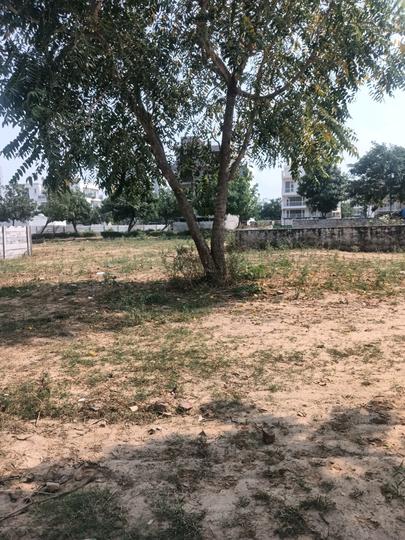 Sector 68 Main Image 1