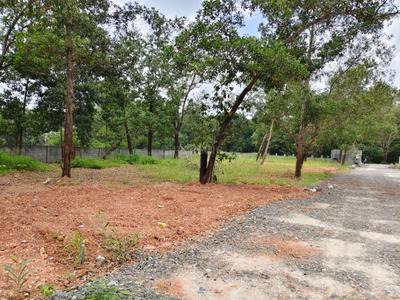 Image of 2613 Sq.ft Residential Plot / Land for sale in Kakkanad, Kochi for Rs. 4950000