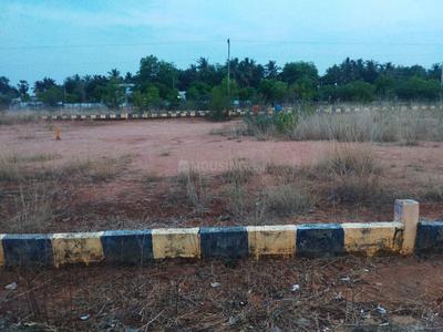 Panjappur Plot View 2