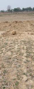 Image of 1800 Sq.ft Residential Plot / Land for sale in Pithauriya, Ranchi for Rs. 2520000
