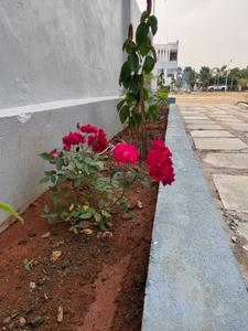 Image of 86400 Sq.ft 5 BHK Farm House for sale in Chevella, Hyderabad for Rs. 110000000