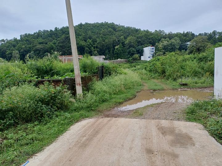 Jagriti Enclave, Sahastradhara Road Main Image 1