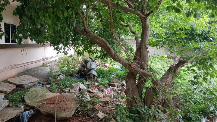 Singapura Main Image 1