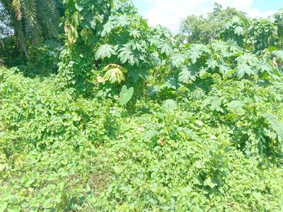 Image of 1430 Sq.ft Residential Plot / Land for sale in Budge Budge, Kolkata for Rs. 1500000