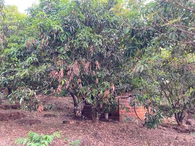 Image of 99000 Sq.ft Residential Plot / Land for sale in Khed, Chiplun for Rs. 10000000