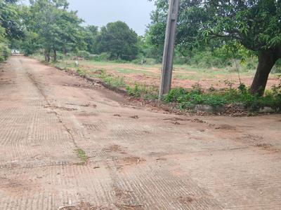 Image of 2400 Sq.ft Residential Plot / Land for sale in Diwancheruvu, Rajahmundry for Rs. 1253000