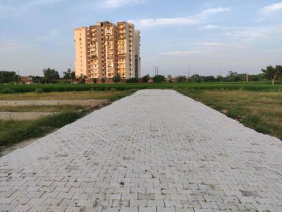 Residential Plot