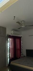Bedroom Image of 1375 Sq.ft 3 BHK Apartment / Flat for rent in Gaurs 14th Avenue, Noida Extension Greater Noida for Rs. 23000