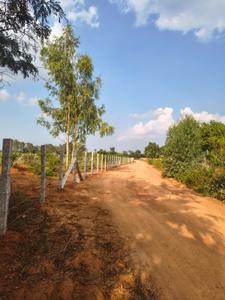 Image of 1200 Sq.ft Residential Plot / Land for sale in Sidlaghatta, Chikballapur District for Rs. 1600000