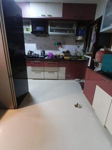 Kitchen Image of 1935 Sq.ft 3 BHK Apartment / Flat for sale in Shreedhar Nest, Koteshwar Ahmedabad for Rs. 10000000