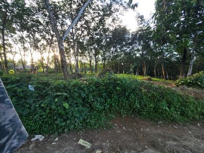 Image of 13068 Sq.ft Residential Plot / Land for sale in Puthenkurish, Kochi for Rs. 8700000
