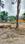 Mangad Plot View 2