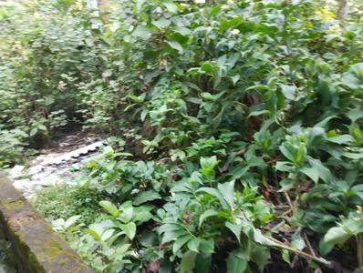 Image of 1082 Sq.ft Residential Plot / Land for sale in Uluberia, Howrah for Rs. 700000