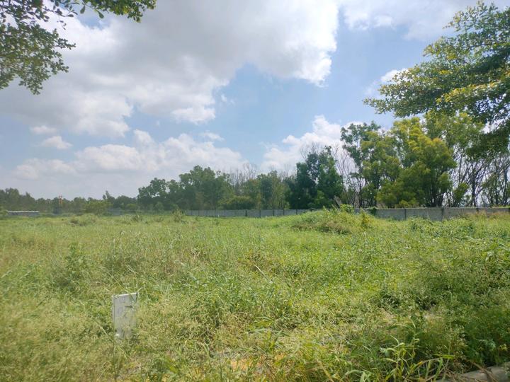 AP Township Main Image 1