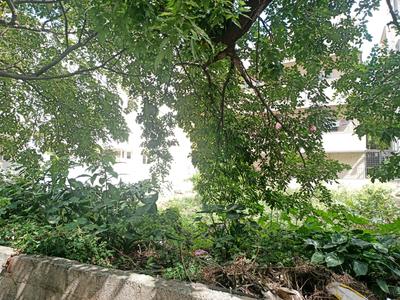 Residential Plot