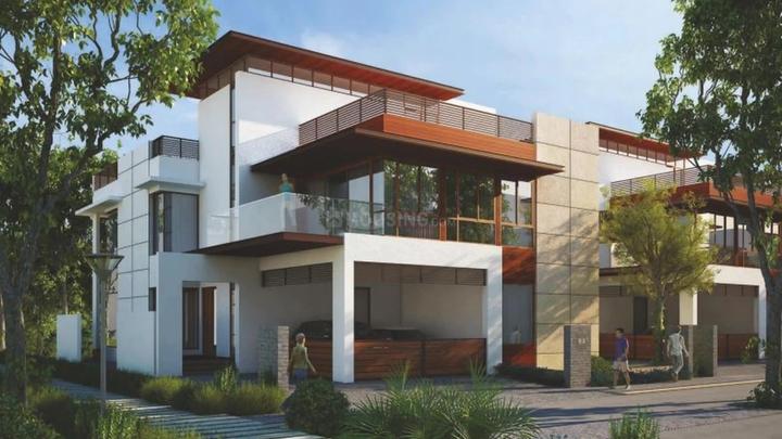 NCC Mistywood Main Image 1