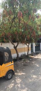 Image of 1100 Sq.ft 3 BHK Independent House for sale in Pammal, Chennai for Rs. 14500000