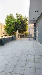 Image of 1170 Sq.ft 2 BHK Builder Floor for rent in Prem Nagar, Rohtak for Rs. 12000