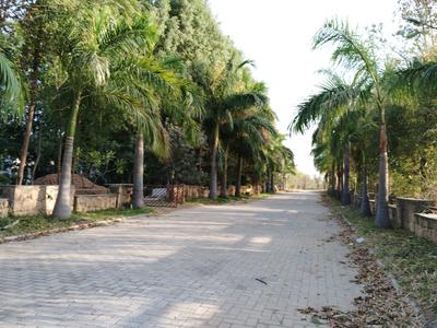 Image of 9000 Sq.ft Residential Plot / Land for sale in Natures Edge, Bavlu, Ahmedabad for Rs. 11500000