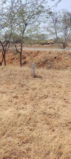 Ram Nagar Main Image 1