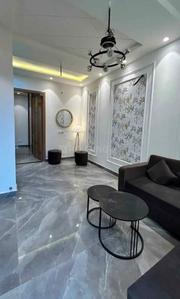 Hall Image of 1025 Sq.ft 2 BHK Builder Floor for sale in Kharar Mohali for Rs. 5880000