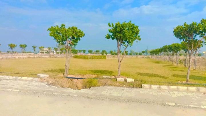 Nagla Samawadi Main Image 1