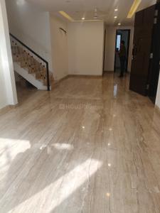 Hall Image of 4000 Sq.ft 4 BHK Independent House for rent in Green Park New Delhi for Rs. 350000