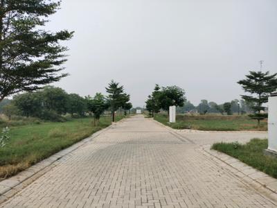 Image of 150 Sq.ft Residential Plot / Land for sale in La Dimora City, Tajupur, Faridabad for Rs. 11500000