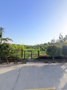 Residential Plot