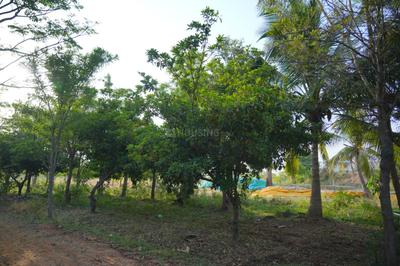 Image of 10000 Sq.ft Residential Plot / Land for sale in Ananda Palyam, Sri Sathya Sai for Rs. 2350000