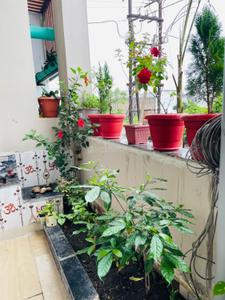 Balcony Image of 5500 Sq.ft 10 BHK Independent House for sale in Rau Indore for Rs. 21000000