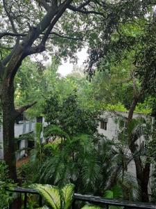 Image of 1000 Sq.ft 2 BHK Apartment / Flat for rent in Sangamvadi, Pune for Rs. 55000