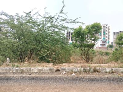 HUDA Plots Plot View 1