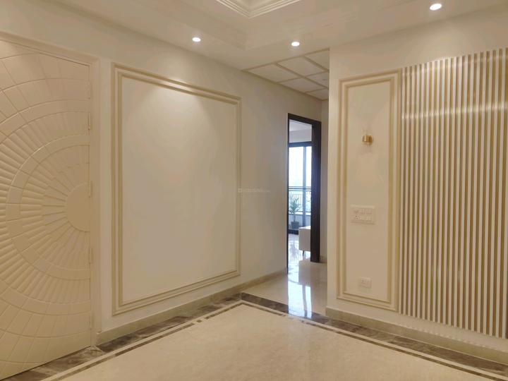 SS The Leaf Main Image 1