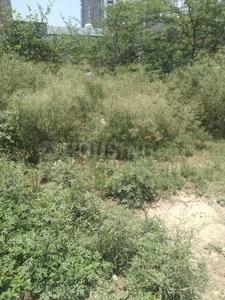 Sector 144 Plot View 3